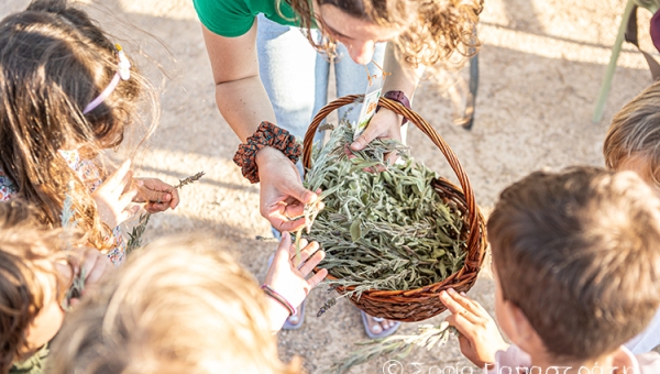 “Οι κηπουροί του Πάρκου” στο Κέντρο Πολιτισμού Ίδρυμα Σταύρος Νιάρχος 