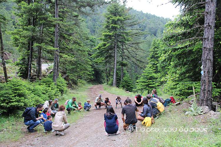 Οικογενειακή εξόρμηση στον Πάρνωνα