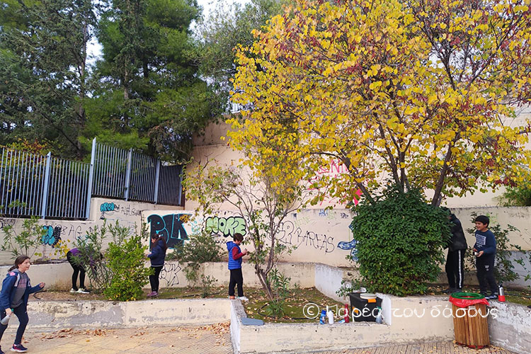 Στην αυλή του 9ου Δημοτικού Βύρωνα σε συνεργασία με το Σύλλογο γονέων και κηδεμόνων