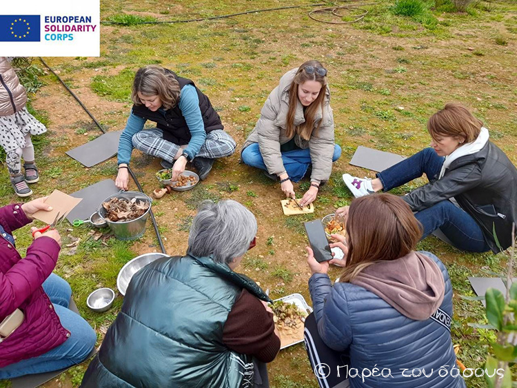 Βιωματικό εργαστήριο για εκπαιδευτικούς, με θέμα τη λειτουργία υπαίθριων τάξεων της φύσης, στις σχολικές αυλές