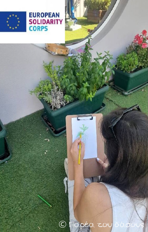 «Η φύση στο σχολείο»: βιωματικό εργαστήριο για εκπαιδευτικούς, σε συνεργασία με την ΟΙΕΛΕ