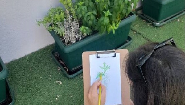 «Η φύση στο σχολείο»: βιωματικό εργαστήριο για εκπαιδευτικούς, σε συνεργασία με την ΟΙΕΛΕ