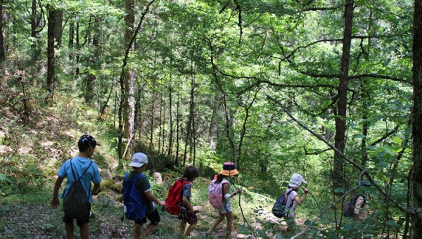 “Λύκοι & Αρκούδες” στο Φεστιβάλ της Βωβούσας 2024! 