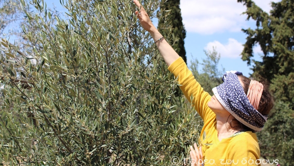 Το Med College επισκέπτεται το δάσος 