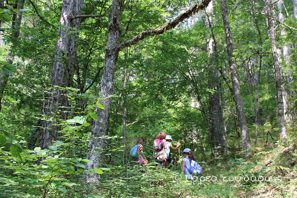 Πήραμε και φέτος τα βουνά… προσωπικά!