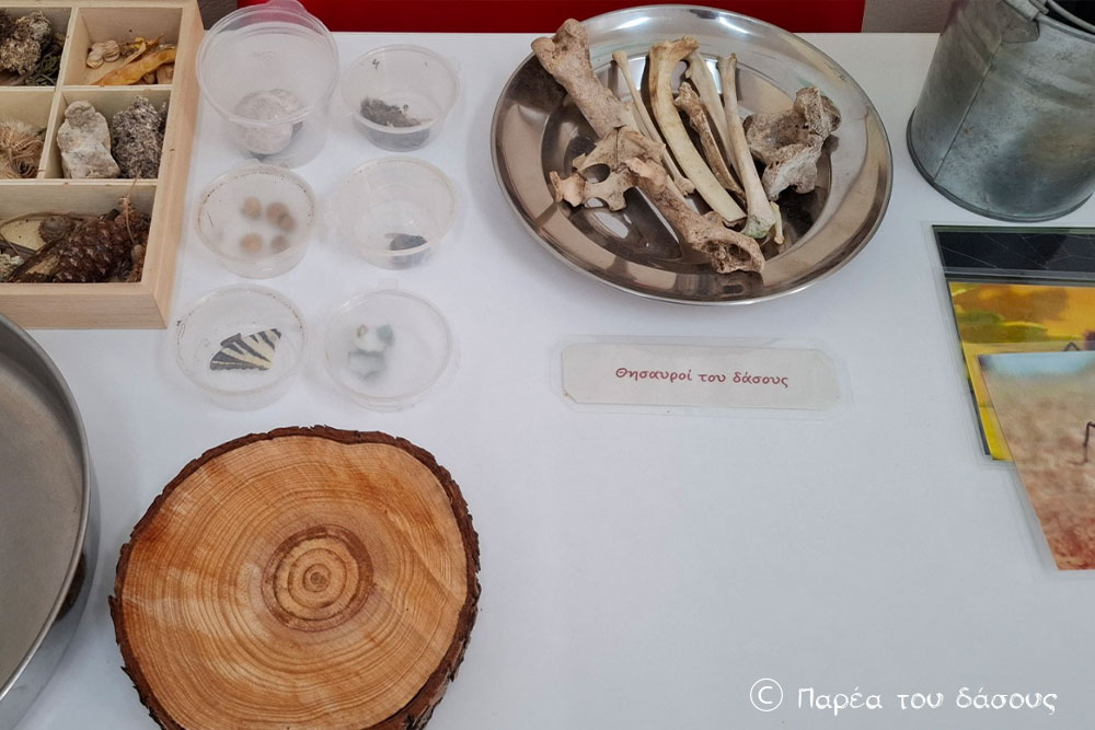 Στην Πάτρα με την Ελληνική Παιδαγωγική Δράση