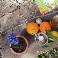 Ευχαριστούμε, Φιλοδασική!