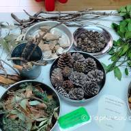 Η Παρέα του δάσους στηρίζει τη δράση της ΕΛ.ΠΑΙ.Δ.